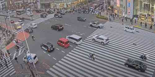 LIVE: Shinjuku - Tokyo