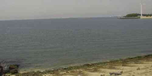 LIVE: Shinmaiko Marine Park - Nagoya