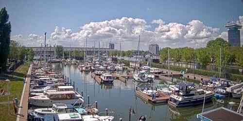 LIVE: Sixhaven Marina - Amsterdam