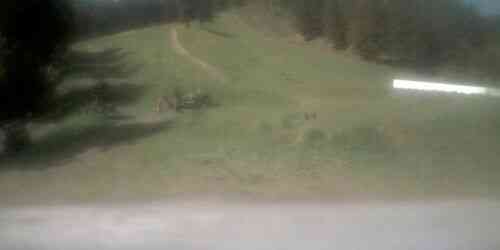 LIVE: Leavenworth Ski Hill - Leavenworth