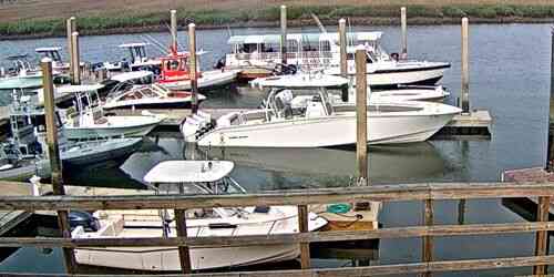 LIVE: Sun Life Marinas - Wilmington Island - Savannah