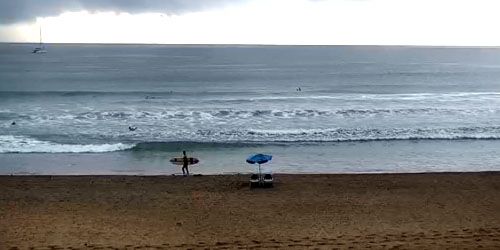 Surfistas en las olas Webcam
