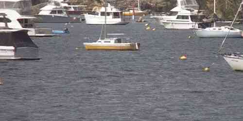 LIVE: Swan Canoe Club - Perth