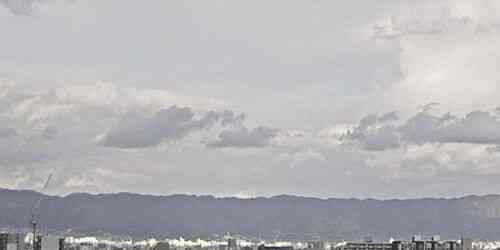 LIVE: Tennoji Ward - Osaka