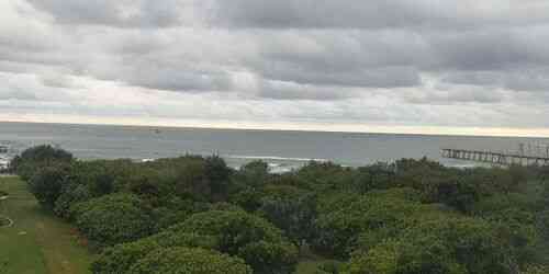 LIVE: The Spit Dog Beach - Gold Coast