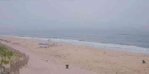 LIVE: Tiana Beach - New York