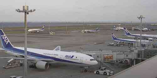 LIVE: Tokyo International Airport - Tokyo