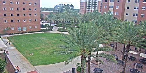 Centro Vaughn de la Universidad de Tampa Webcam