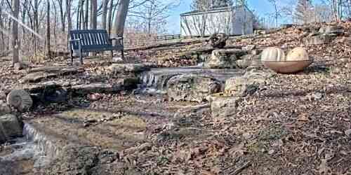 LIVE: Waterfall in the forest - Louisville