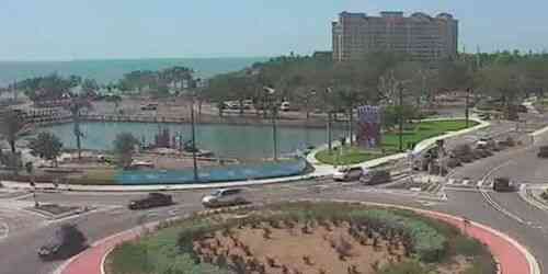 LIVE: Waterfront Park - Sarasota