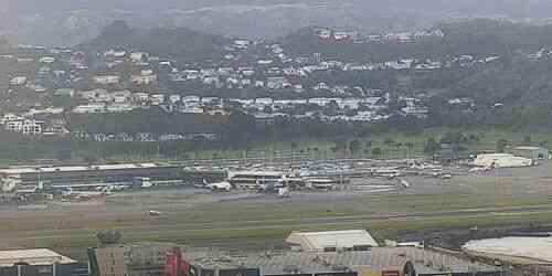 LIVE: Wellington Airport - Wellington