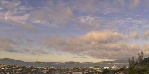 LIVE: Wellington Harbour - Wellington