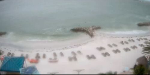 L'hiver le Dolphin's Beach Club webcam - Clearwater