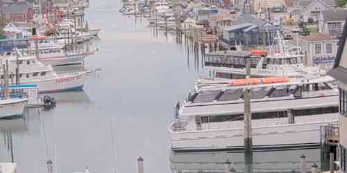 LIVE: Woodclift Canal - Village of Freeport - New York