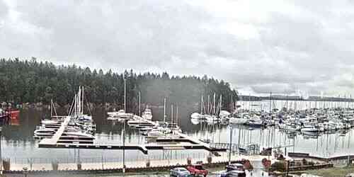 LIVE: Berth with yachts and boats - Nanaimo