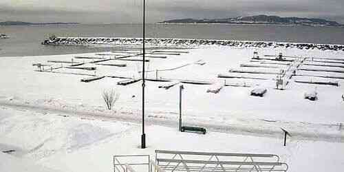 LIVE: Yacht Club in the Gulf of St. Lawrence - Sept-Iles