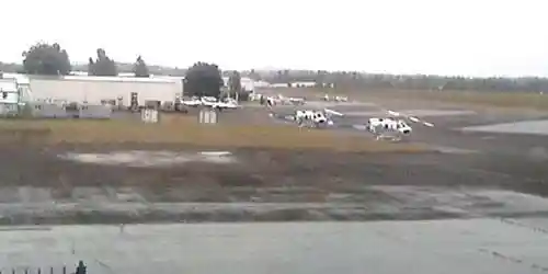 Olympia Regional Airport Webcam