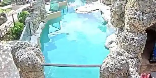 Waikiki Aquarium Webcam