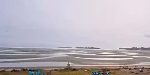 Beach Acres Resort Webcam