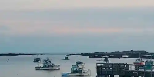 Marsouin du Cap à Kennebunkport Caméra web