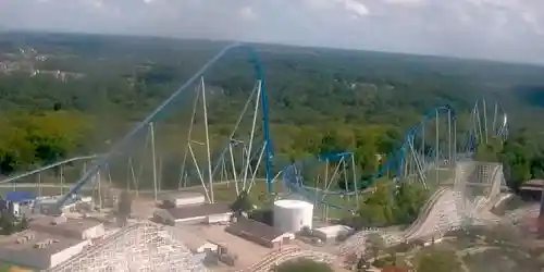 Diamondback in Kings Island Webcam