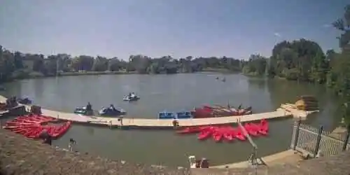 Forest Park Cámara web