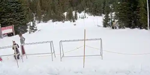 Montaña del ciprés Hollyburn Cámara web