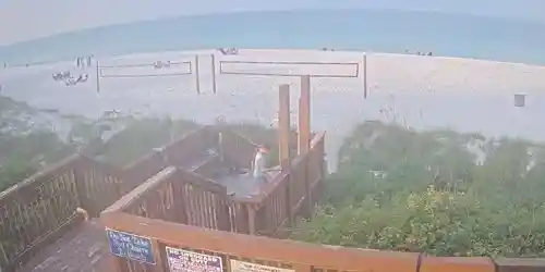 Laguna Beach Webcam