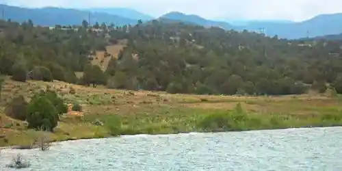 Lake Nighthorse Webcam