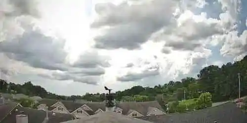 Oakville Cámara web