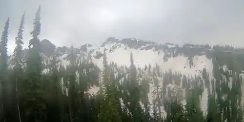 Mount Revelstoke National Park Webcam