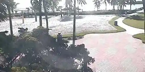 Aparcar frente al mar en uno de los hoteles Cámara web