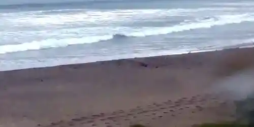 Cámara de estudio en la costa Cámara web