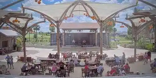 Sawgrass Grove Cámara web