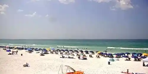 Seascape Whales Tail Beach Webcam