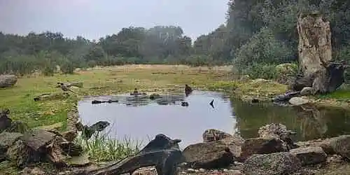 Sendero Vivo in Navalagamella Webcam