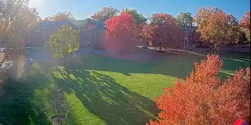 Parque Skinner Green Cámara web