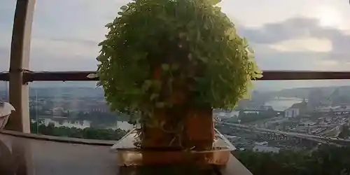 Panoramic view from the skyscraper Webcam